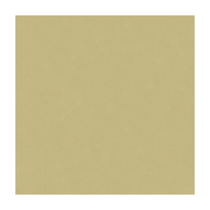 33886-1106 by Kravet Couture Fabric COTTON - 61%;SILK - 39% India Horizontal: and Vertical: 55 - Fabric Carolina -