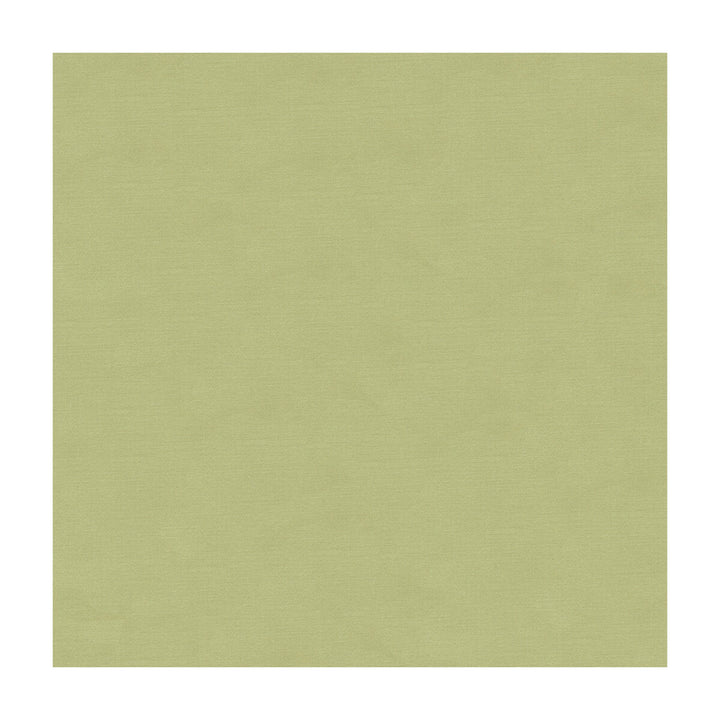 33886-1110 by Kravet Couture Fabric - COTTON - 61%;SILK - 39% India - Horizontal: - and Vertical: - 55 - Fabric Carolina -