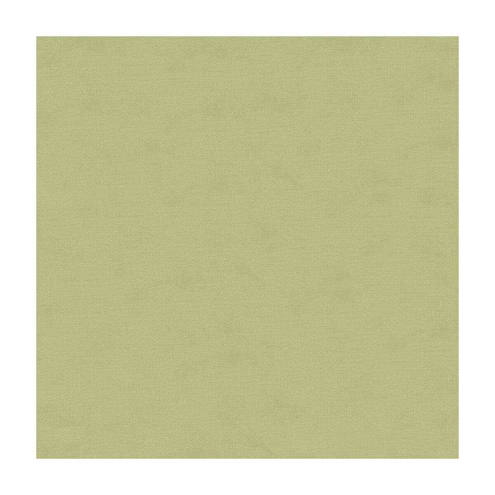 33886-1110 by Kravet Couture Fabric COTTON - 61%;SILK - 39% India Horizontal: and Vertical: 55 - Fabric Carolina -
