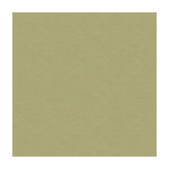 33886-1121 by Kravet Couture Fabric - COTTON - 61%;SILK - 39% India - Horizontal: - and Vertical: - 55 - Fabric Carolina -