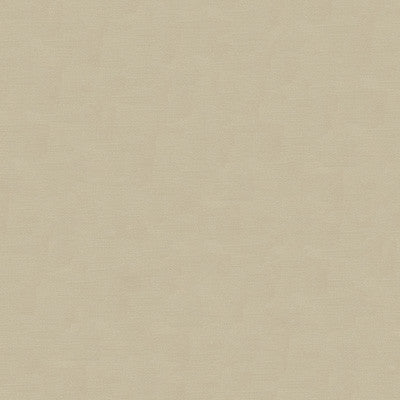 Kravet Couture 33886-1611 by Kravet Couture Fabric