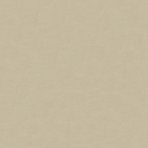 Kravet Couture 33886-1611 by Kravet Couture Fabric