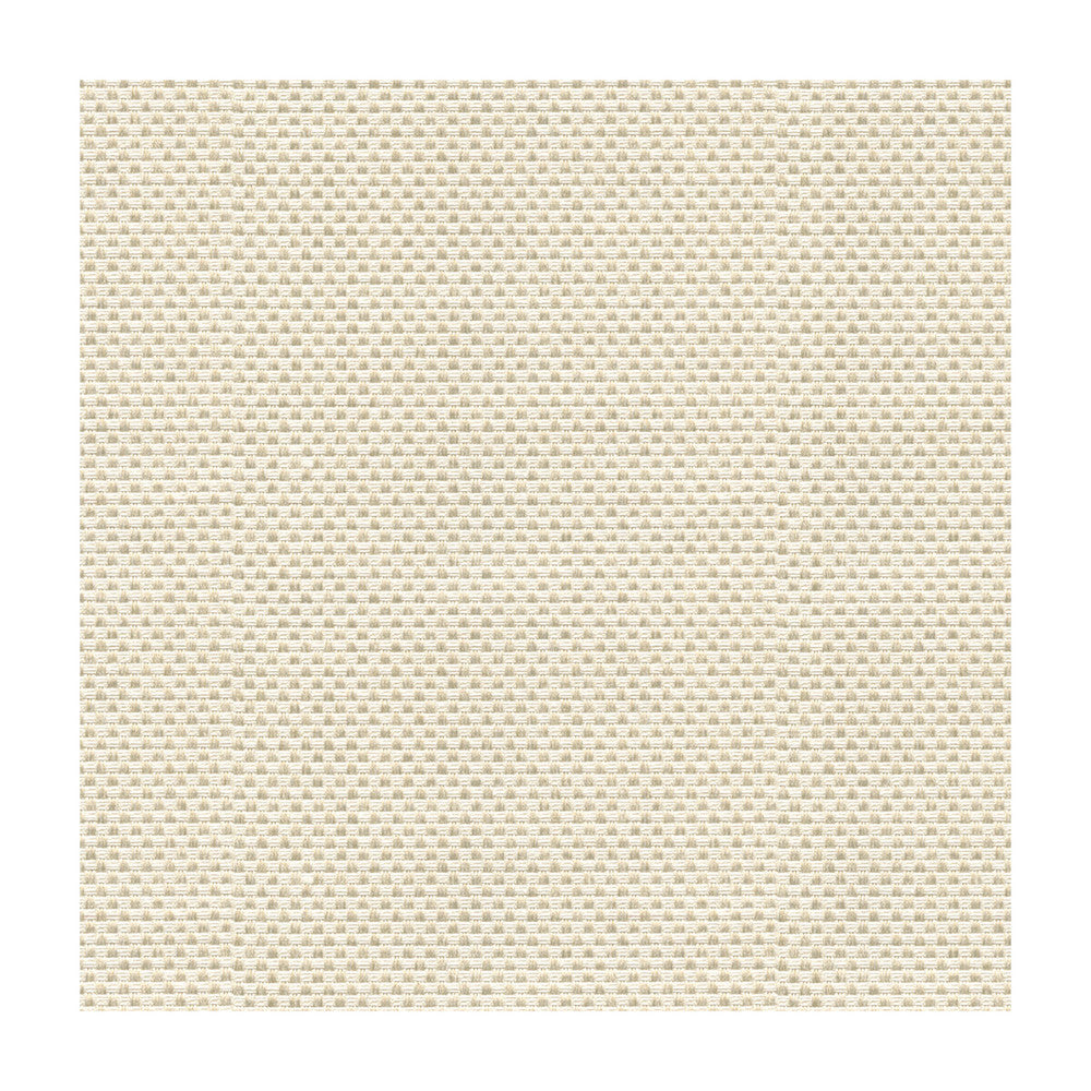 Sener Ivory by Kravet Design Fabric CONSTANTINOPLE POLYESTER - 76%;COTTON - 24% Turkey HEAVY Horizontal: and Vertical: 55 - Fabric Carolina -