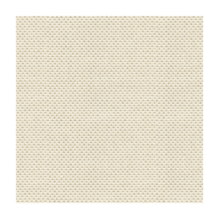 Sener Ivory by Kravet Design Fabric CONSTANTINOPLE POLYESTER - 76%;COTTON - 24% Turkey HEAVY Horizontal: - and Vertical: - 55 - Fabric Carolina -