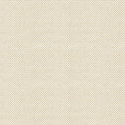 Sener Ivory by Kravet Design Fabric
