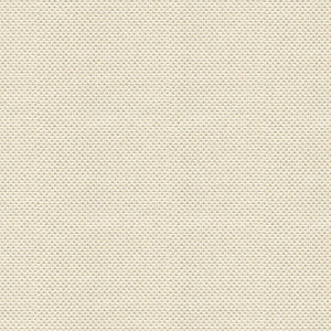 Sener Ivory by Kravet Design Fabric