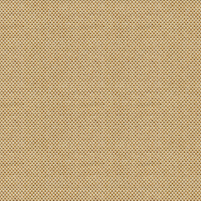 Sener Ochre by Kravet Design Fabric