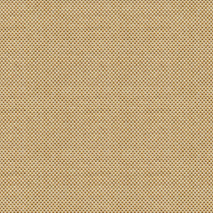 Sener Ochre by Kravet Design Fabric