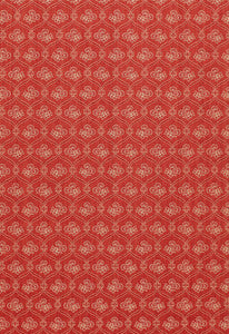 Ashley Lattice Coral 3390043 by Schumacher Fabric