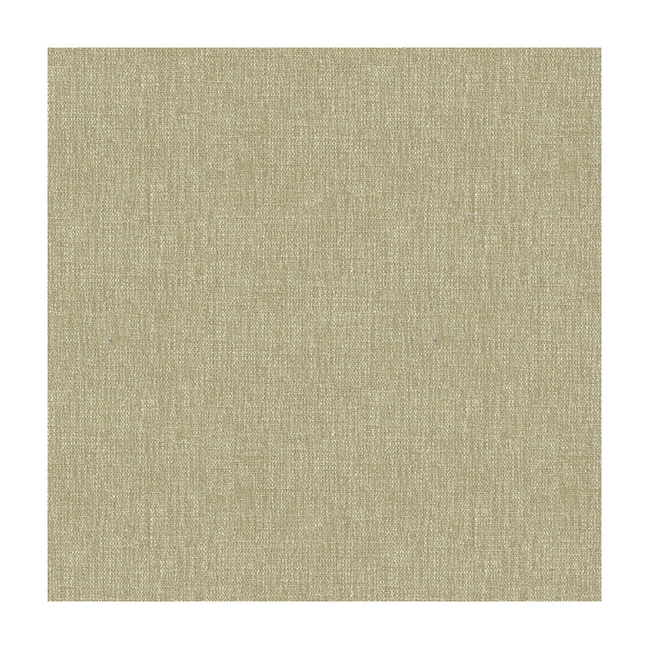 33902-1112 by Kravet Smart Fabric POLYESTER - 100% India HEAVY Horizontal: and Vertical: 54 - Fabric Carolina -