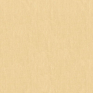 Kravet Smart 33902-111 by Kravet Smart Fabric