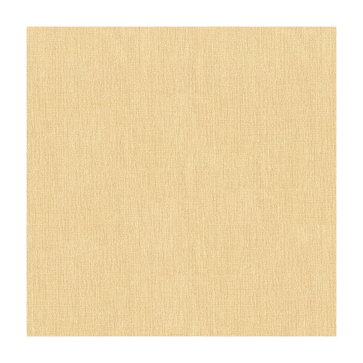33902-111 by Kravet Smart Fabric POLYESTER - 100% India HEAVY Horizontal: and Vertical: 54 - Fabric Carolina -