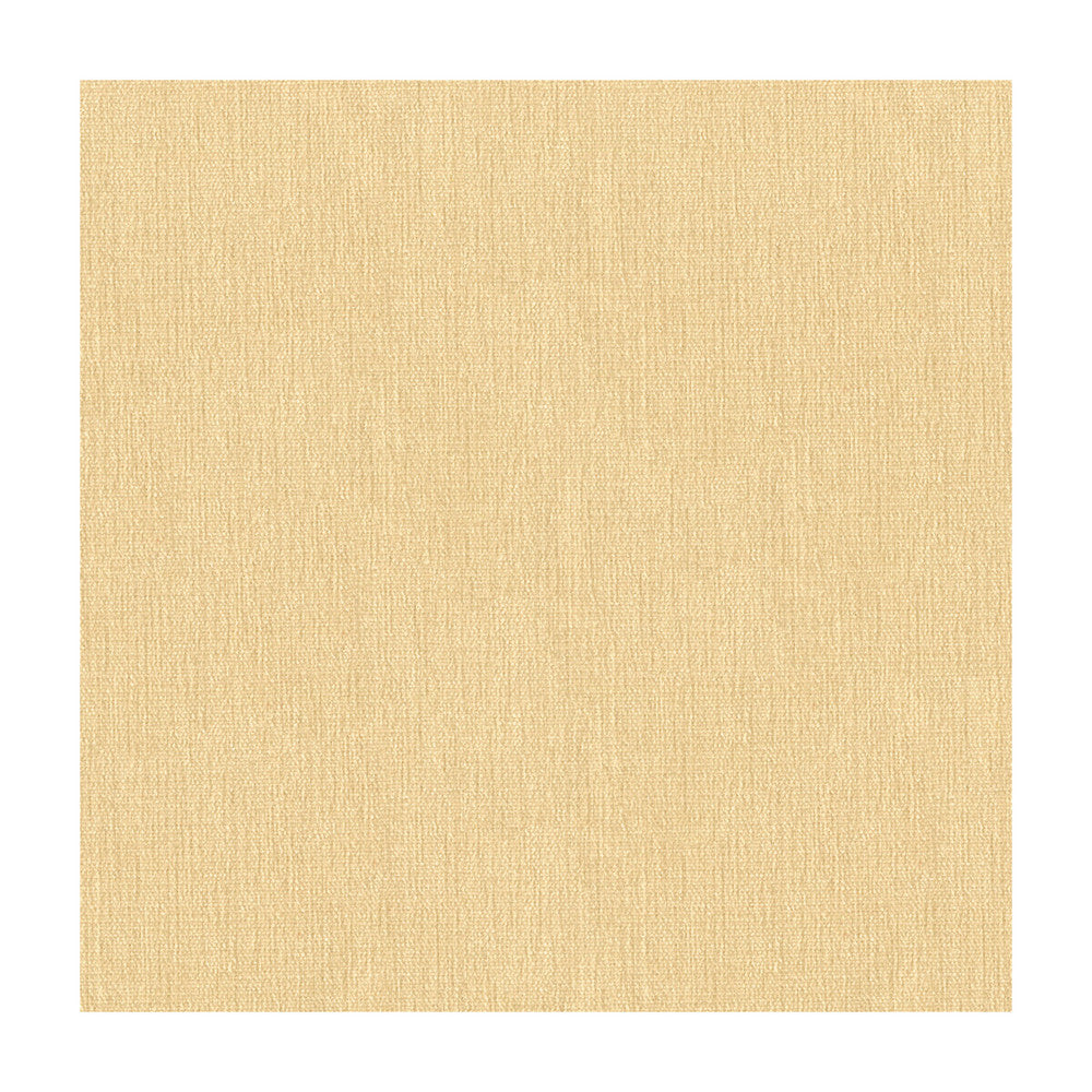 33902-111 by Kravet Smart Fabric - POLYESTER - 100% India HEAVY Horizontal: - and Vertical: - 54 - Fabric Carolina -