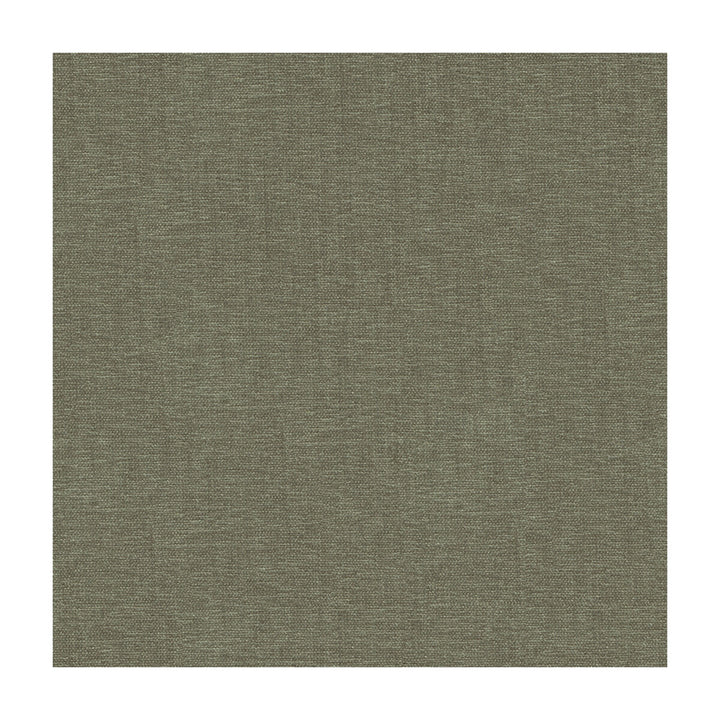 33902-11 by Kravet Smart Fabric - POLYESTER - 100% India HEAVY Horizontal: - and Vertical: - 54 - Fabric Carolina -