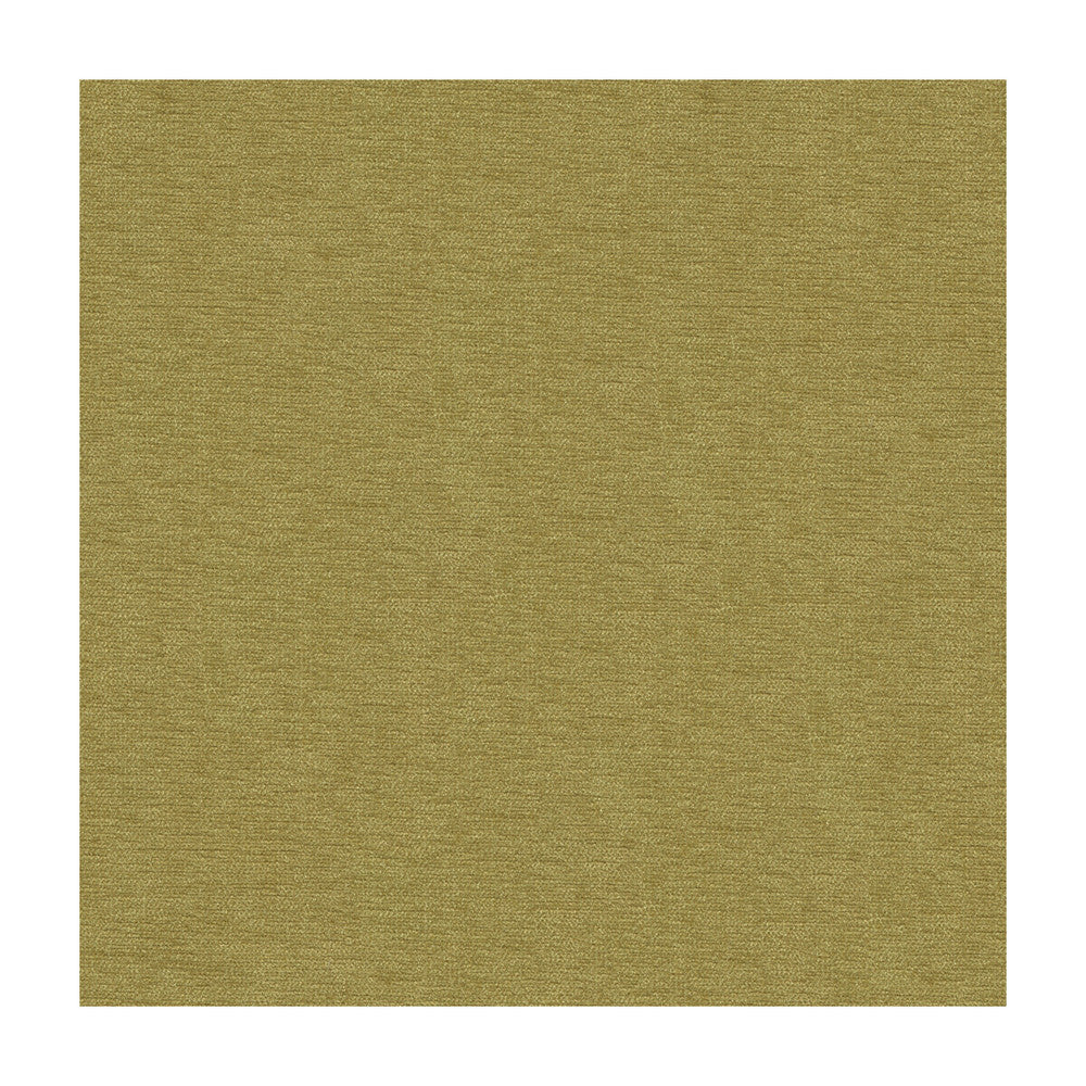 33902-123 by Kravet Smart Fabric - POLYESTER - 100% India HEAVY Horizontal: - and Vertical: - 54 - Fabric Carolina -