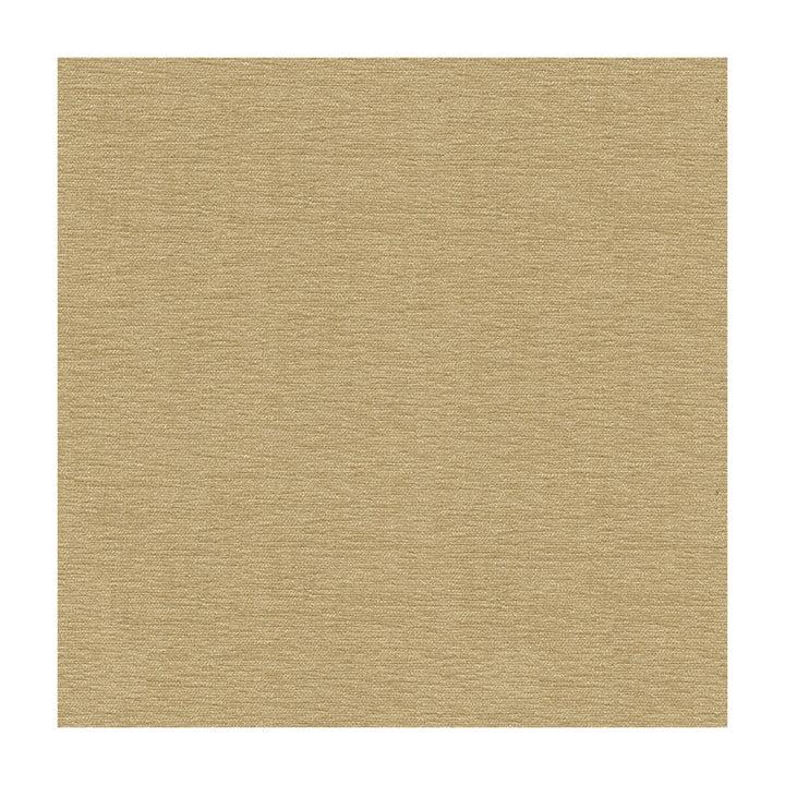 33902-1601 by Kravet Smart Fabric - POLYESTER - 100% India HEAVY Horizontal: - and Vertical: - 54 - Fabric Carolina -