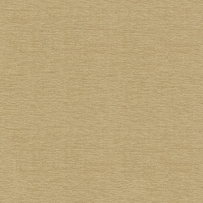 Kravet Smart 33902-1601 by Kravet Smart Fabric