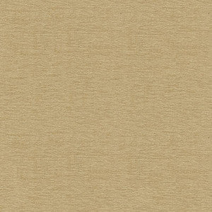 Kravet Smart 33902-1601 by Kravet Smart Fabric