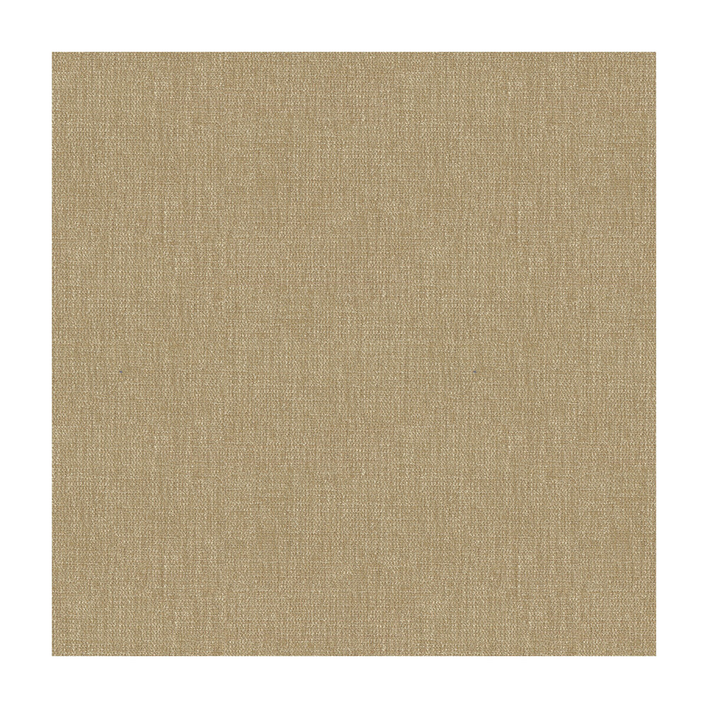 33902-16 by Kravet Smart Fabric POLYESTER - 100% India HEAVY Horizontal: and Vertical: 54 - Fabric Carolina -