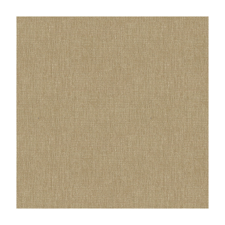 33902-16 by Kravet Smart Fabric - POLYESTER - 100% India HEAVY Horizontal: - and Vertical: - 54 - Fabric Carolina -