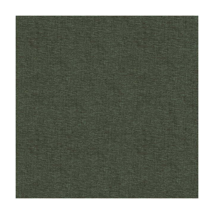 33902-21 by Kravet Smart Fabric - POLYESTER - 100% India HEAVY Horizontal: - and Vertical: - 54 - Fabric Carolina -