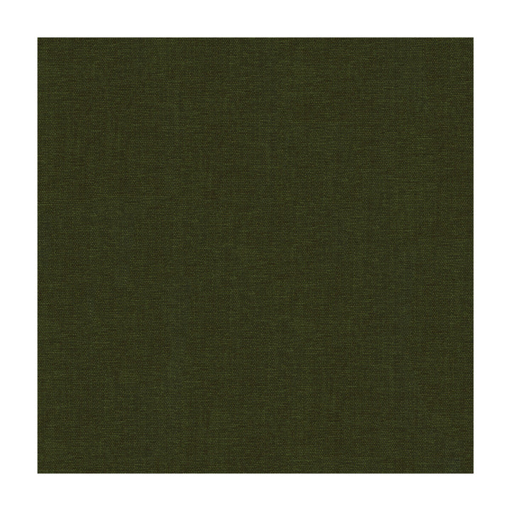 33902-33 by Kravet Smart Fabric - POLYESTER - 100% India HEAVY Horizontal: - and Vertical: - 54 - Fabric Carolina -