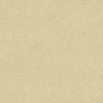 Polar Bear Ice by Kravet Couture Fabric