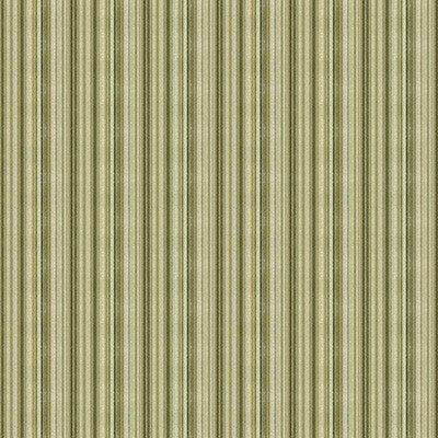 Funicular Lines Spring by Kravet Couture Fabric