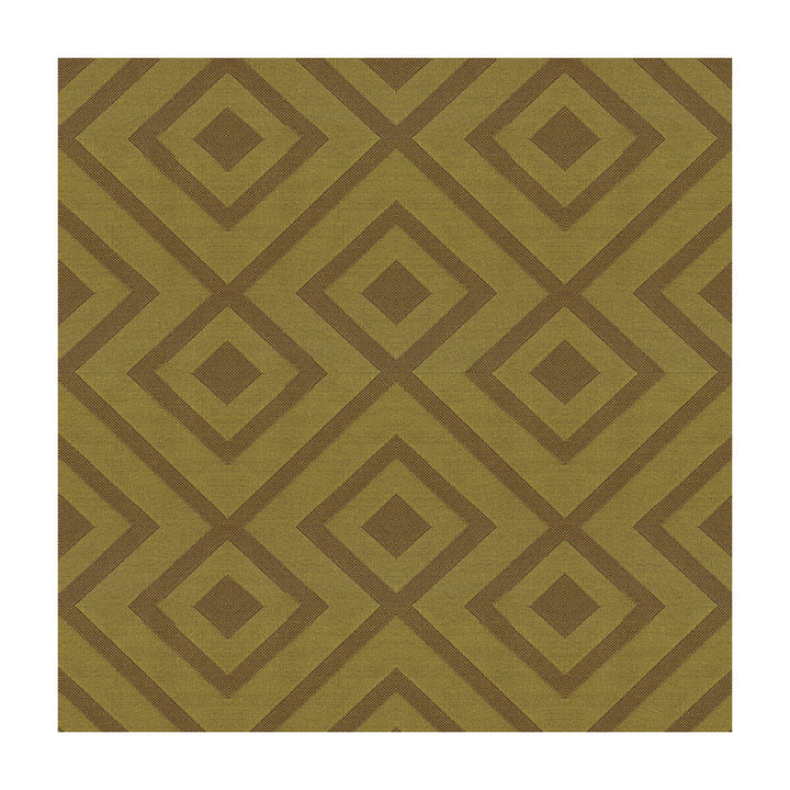 Rory'S Trellis Olive by Kravet Contract Fabric Kravet Contract Fabric Rory'S Trellis OliveFabric DAVID HICKS GUARANTEED IN STOCK POLYESTER - 100% United States </p><p>Repeat: H: 9.5, V: 7 55 - Fabric Carolina -
