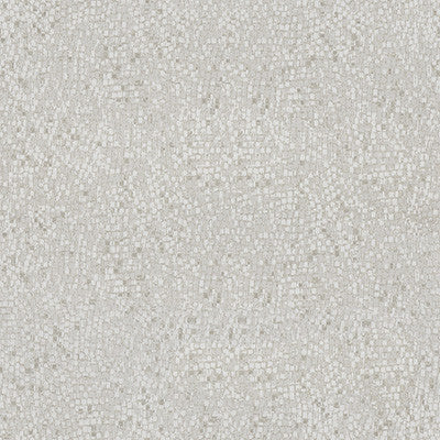 Dazzling Haute Pumice by Kravet Couture Fabric