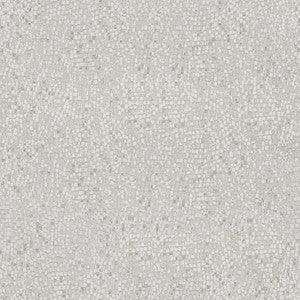 Dazzling Haute Pumice by Kravet Couture Fabric