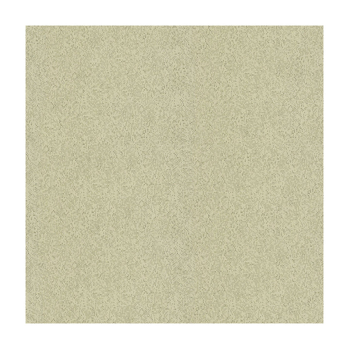 Dazzling Haute Pumice by Kravet Couture Fabric MODERN LUXE II VISCOSE - 55%;POLYESTER - 45% India Horizontal: 13 and Vertical: 15.5 55 - Fabric Carolina -