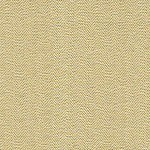 Sneak Peek Shell by Kravet Couture Fabric