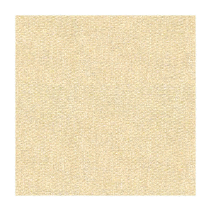 33981-111 by Kravet Smart Fabric POLYESTER - 100% China HEAVY Horizontal: and Vertical: 55 - Fabric Carolina -