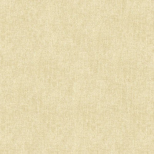 Kravet Smart 33981-1 by Kravet Smart Fabric