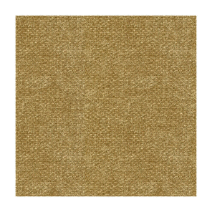 33981-404 by Kravet Smart Fabric - POLYESTER - 100% China HEAVY Horizontal: - and Vertical: - 55 - Fabric Carolina -