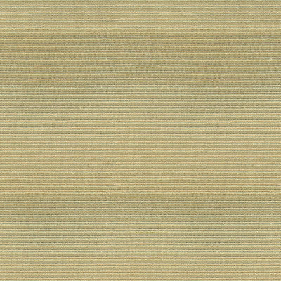 Big Picture Pebble by Kravet Couture Fabric