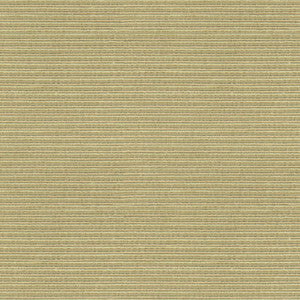 Big Picture Pebble by Kravet Couture Fabric
