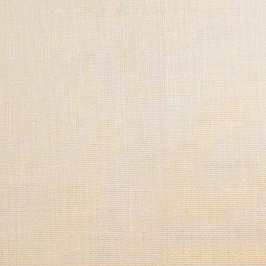 Pioneer - 33 by Europatex Fabric Pioneer 55% PVC, 40% Polyester, 5% Polyurethane China See Sample Horizontal: N/A and Vertical: N/A 55.00 inches  - Fabric Carolina -