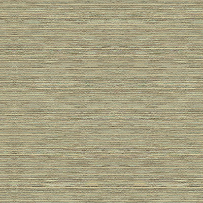 Lollipop Tree Grey Mist by Kravet Couture Fabric