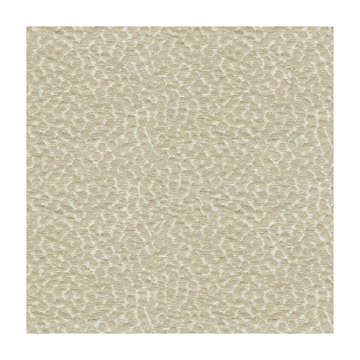 Polka Dot Satin Pumice by Kravet Couture Fabric MODERN LUXE II POLYESTER - 37%;COTTON - 33%;NYLON - 30% India MEDIUM Horizontal: 9 and Vertical: 3 54.5 - Fabric Carolina -