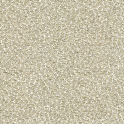 Polka Dot Satin Pumice by Kravet Couture Fabric