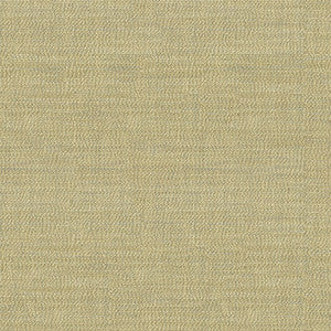 Kravet Couture 34014-16 by Kravet Couture Fabric