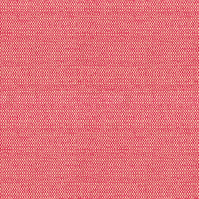 Tully Snapdragon by Kravet Design Fabric