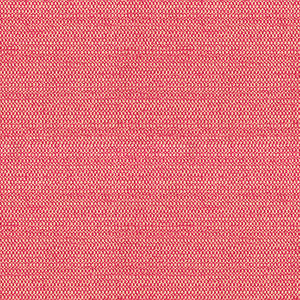 Tully Snapdragon by Kravet Design Fabric