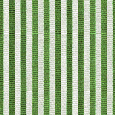 Grosgrain Picnic Green by Kravet Design Fabric