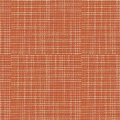 Lunch Date Hot Coral by Kravet Design Fabric