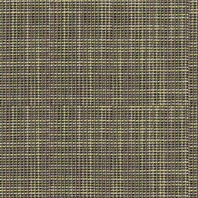 Lunch Date Slate by Kravet Design Fabric