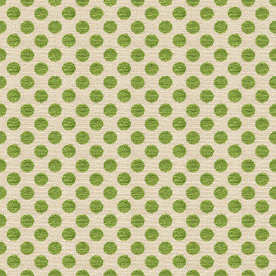Posie Dot Picnic Green by Kravet Design Fabric