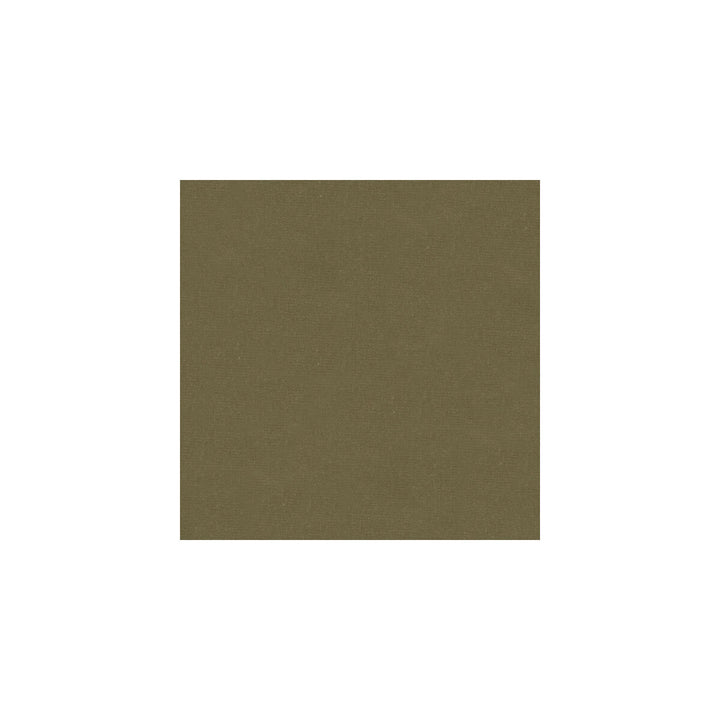 Iva Mushroom by Kravet Design Fabric Kravet Design Fabric Iva MushroomFabric KATE SPADE CLASSICS COTTON - 100% Netherlands </p><p>Repeat: H: , V: 54 - Fabric Carolina -
